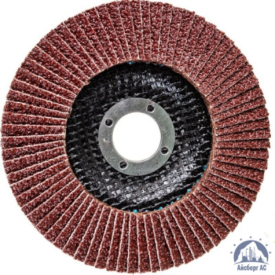 Круг лепестковый КЛТ 125х22 мм, P80, Elitech, 1820,039100 купить в Новороссийске